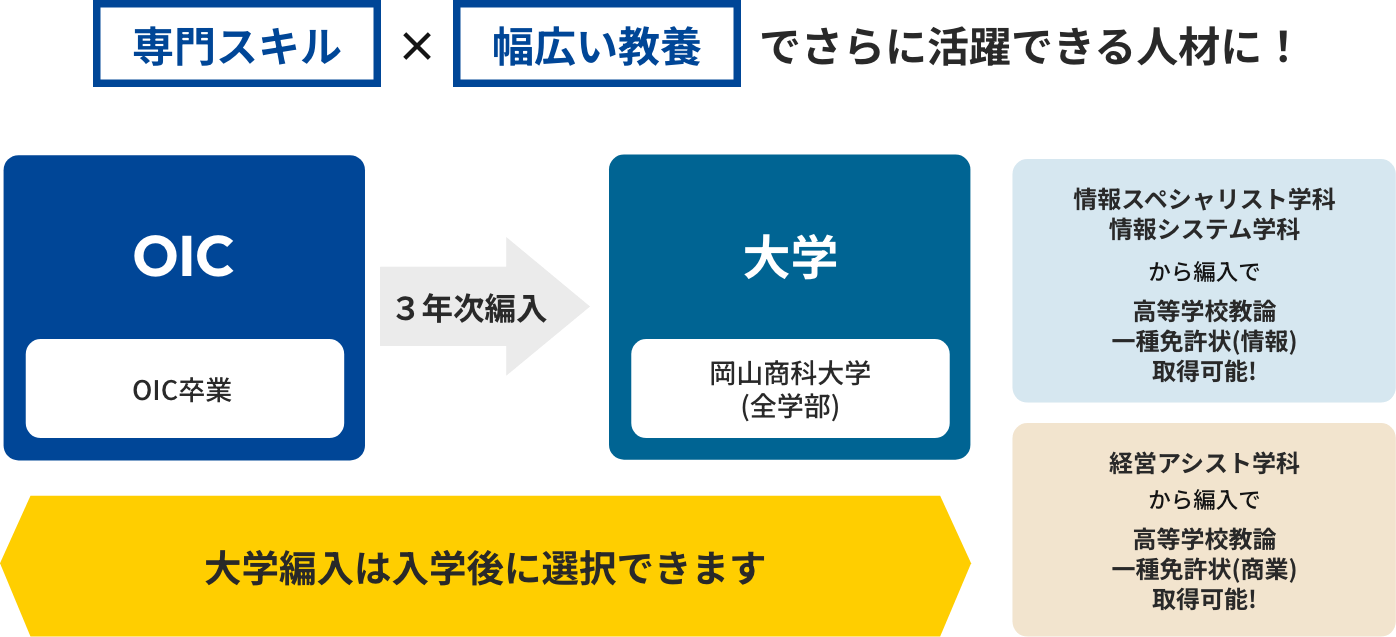 大学進学グラフ