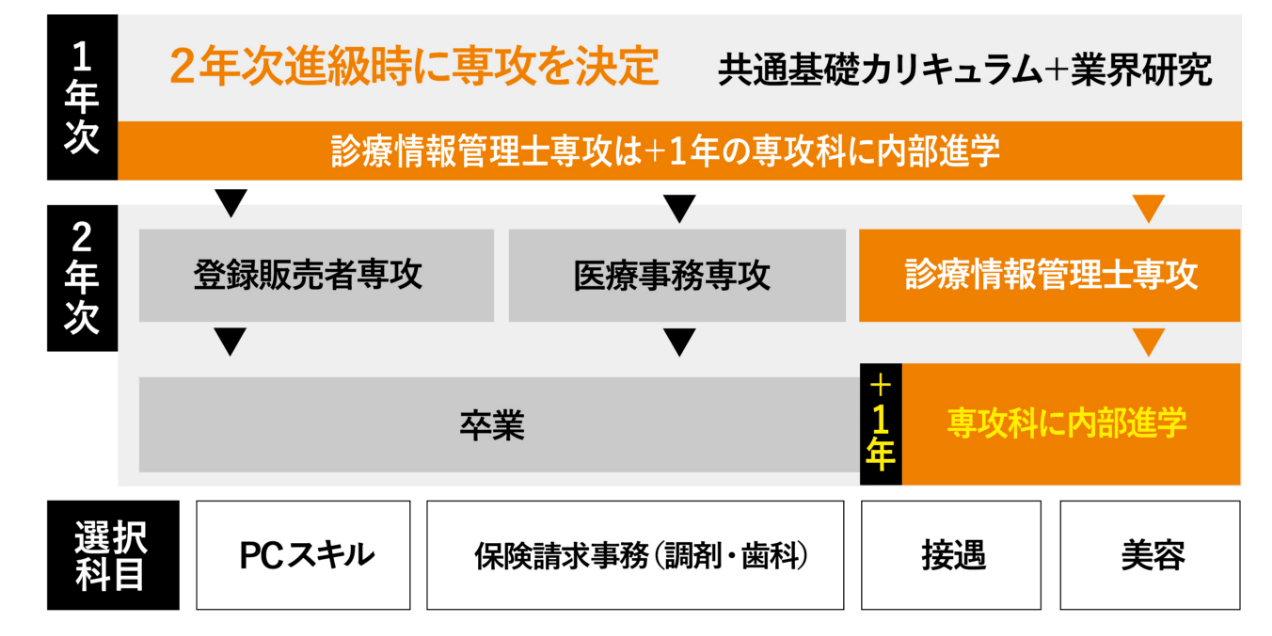 登録販売者専攻も！多彩な3専攻と選択科目で未来をデザイン